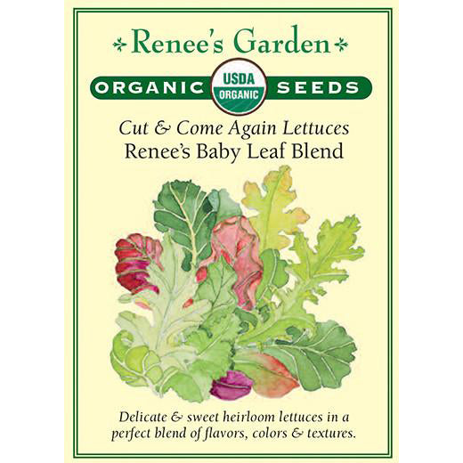 Lettuce - Organic Cut & Come Again Baby Leaf Blend