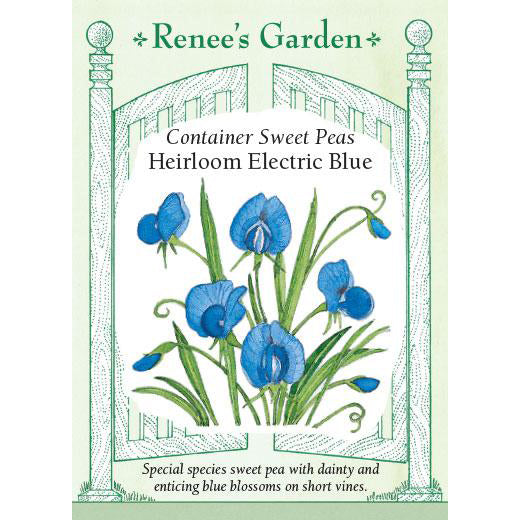 Sweet Peas - Heirloom Electric Blue