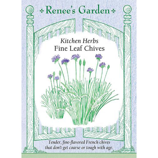 Chives - Fine Leaf Kitchen Herbs