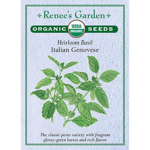 Basil - Organic Heirloom Italian Genovese