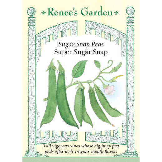 Peas - Super Sugar Snap