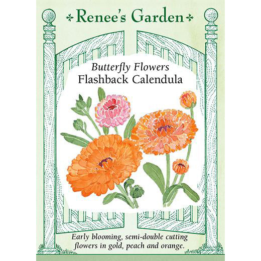 Calendula - Flashback Butterfly Flowers