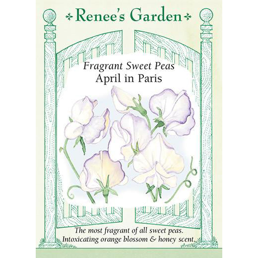 Sweet Peas - Fragrant April in Paris