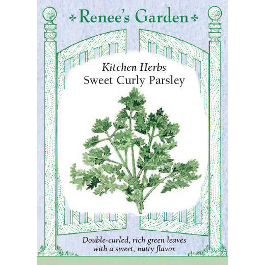 Parsley - Sweet Curly Kitchen Herbs