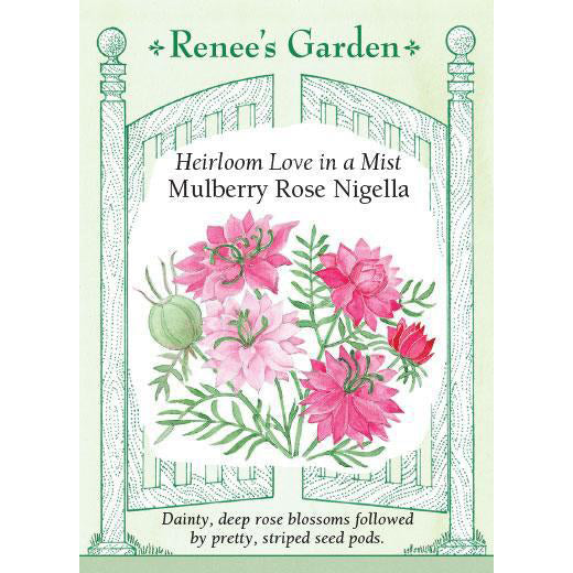Nigella - Heirloom Love in a Mist Mulberry Rose