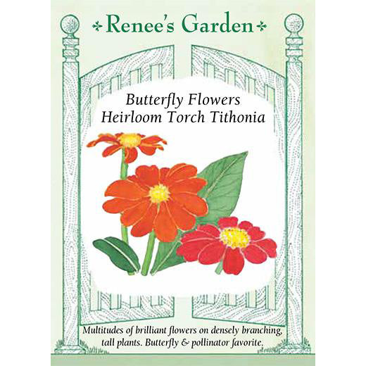 Tithonia - Butterfly Flowers Heirloom Torch