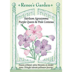 Agrostemma - Heirloom Purple Queen & Pink Contessa