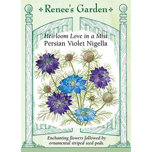 Nigella - Heirloom Love in a Mist Persian Violet