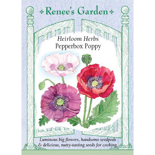 Poppies - Pepperbox Heirloom Herbs