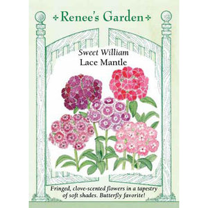 Sweet William - Lace Mantle