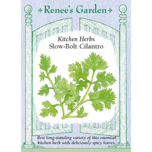 Cilantro - Slow-Bolt Kitchen Herbs