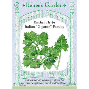 Parsley - Italian 'Gigante' Kitchen Herbs