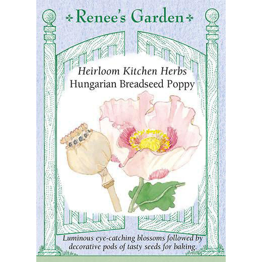 Poppies - Hungarian Breadseed Heirloom Kitchen Herb