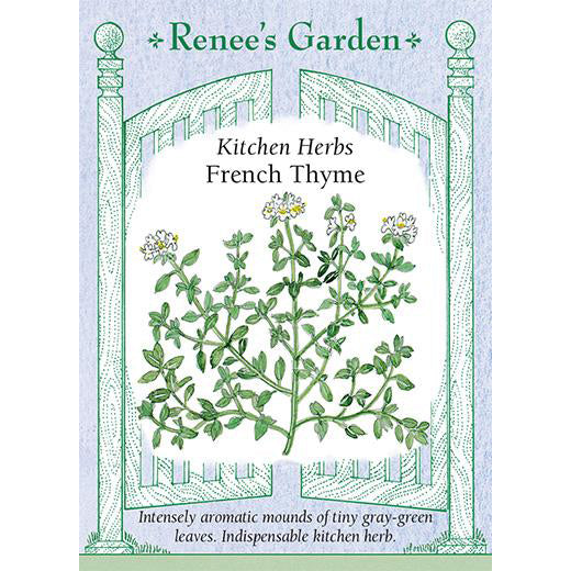 Thyme - French Kitchen Herbs