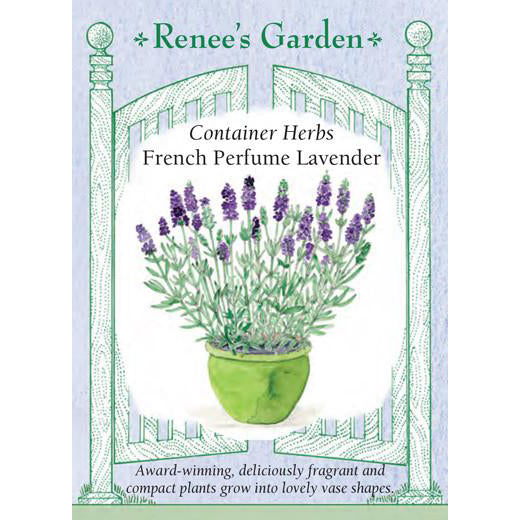 Lavender - French Perfume Container Herbs