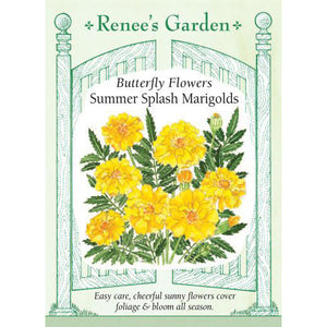 Marigolds - Butterfly Flowers Summer Splash