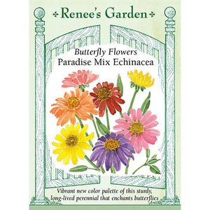 Echinacea - Butterfly Flowers Paradise Mix