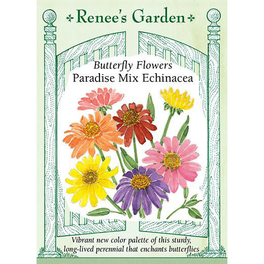 Echinacea - Butterfly Flowers Paradise Mix
