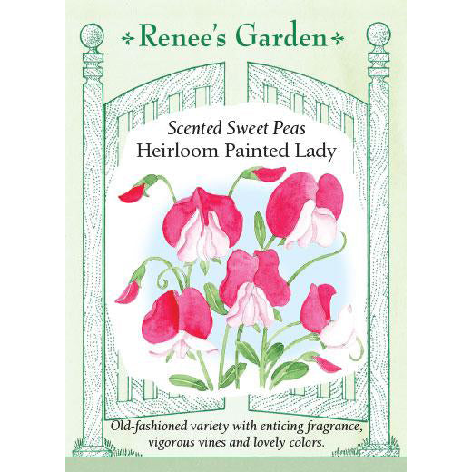 Sweet Peas - Scented Heirloom Painted Lady