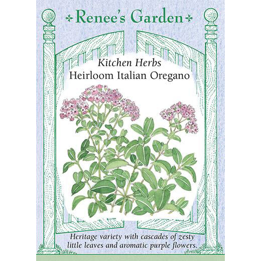 Oregano - Heirloom Italian Kitchen Herbs
