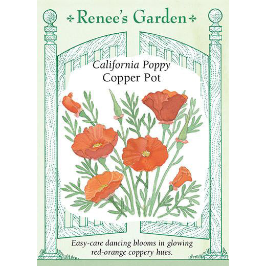 Poppies - California Copper Pot